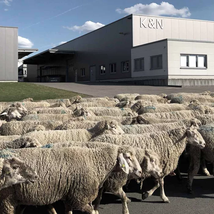 Schurwollshop Headerbild