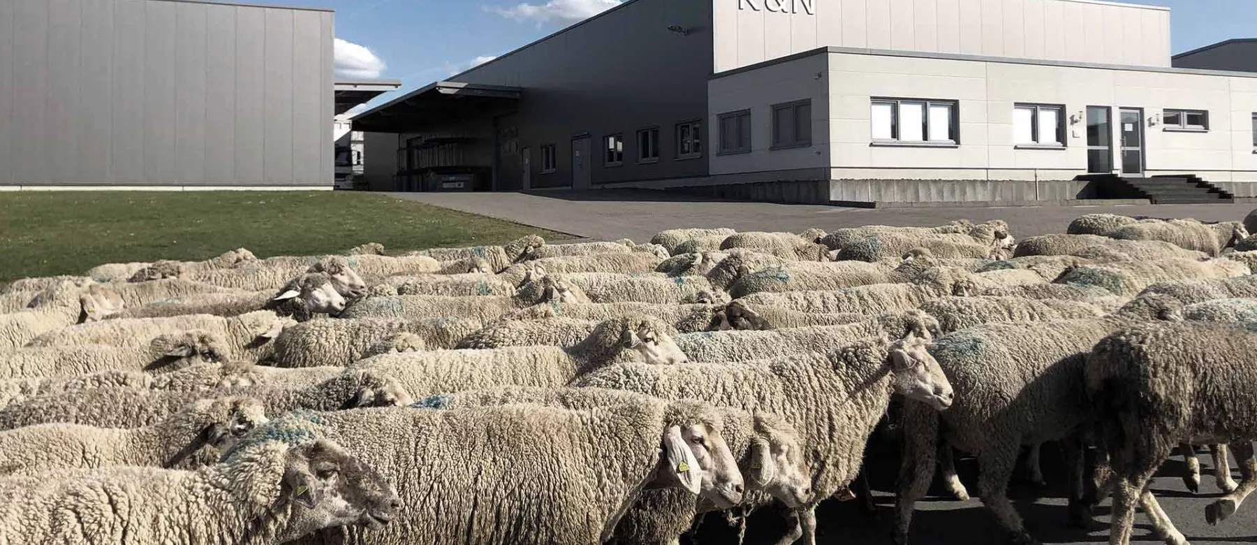 Schurwollshop Headerbild