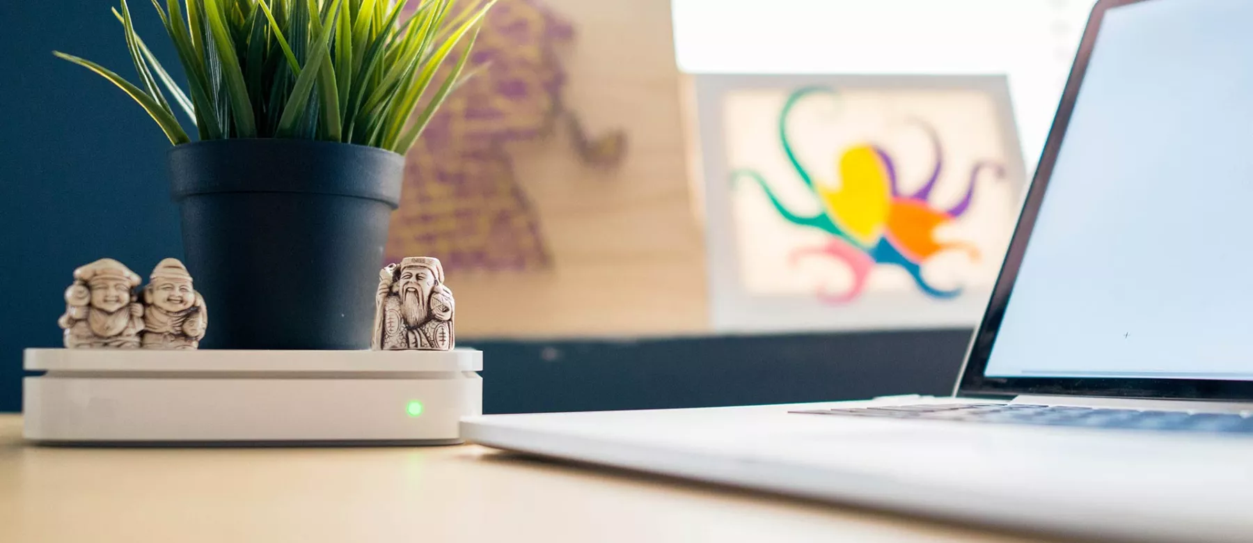 Webdesign an einem Macbook